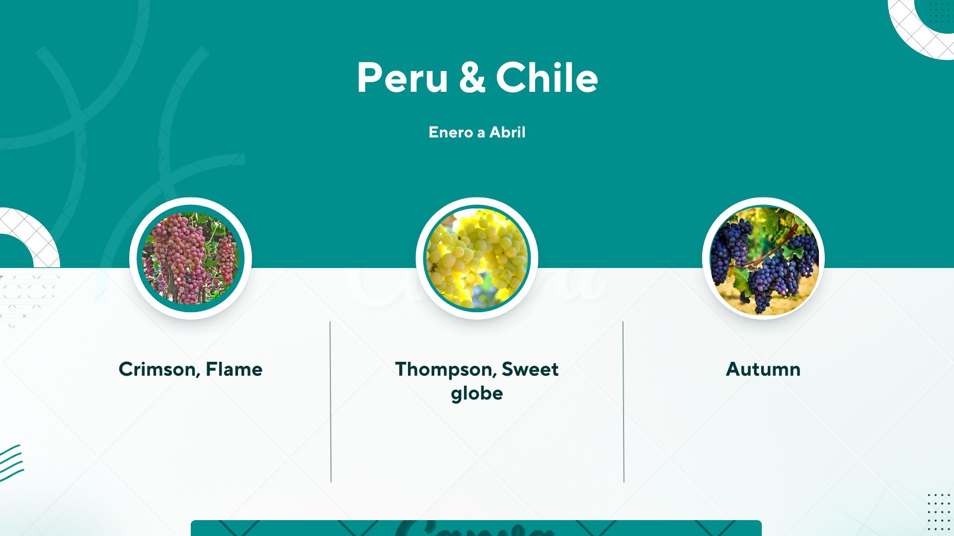 Plan de suministro 2