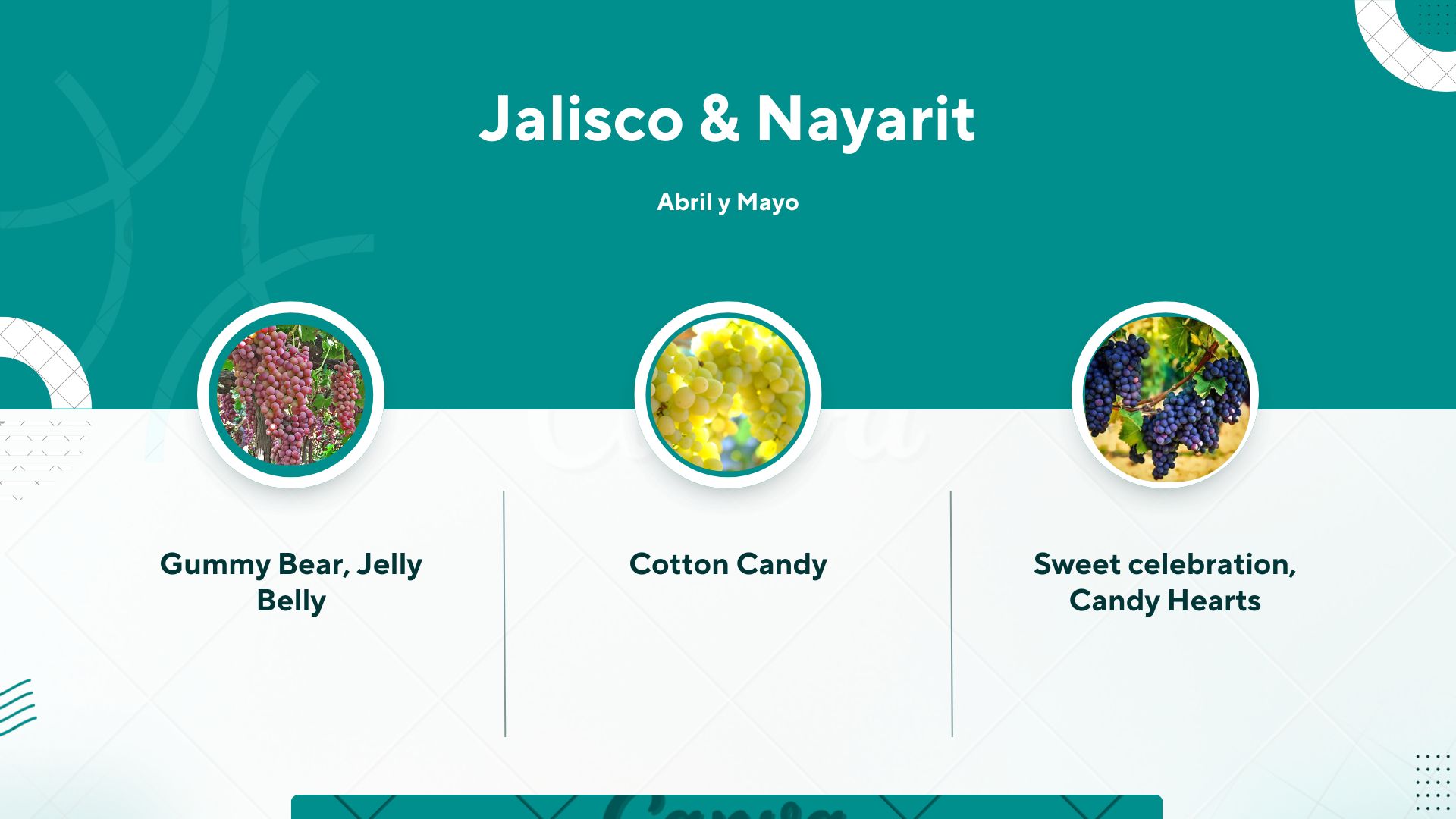 Plan de suministro 3