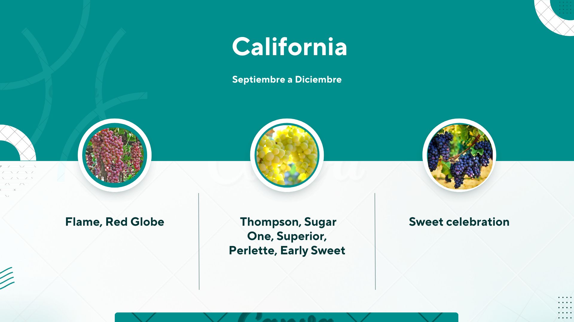 Plan de suministro 5